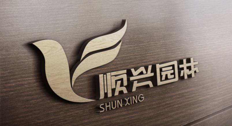 隆化县VI设计：城市品牌蝶变的核心引擎